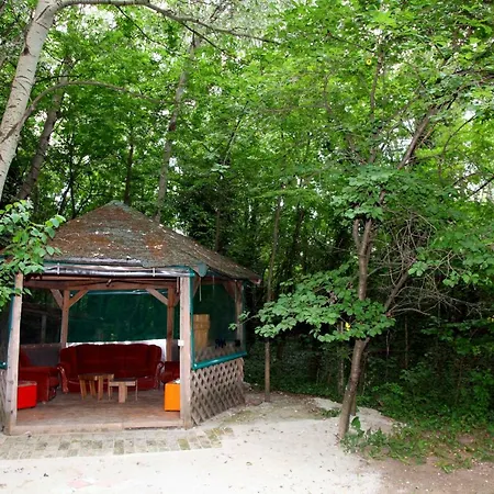 Apartman Magic Forest